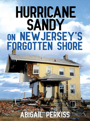 cover image of Hurricane Sandy on New Jersey's Forgotten Shore